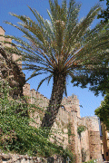Marbella_Castle (19K)